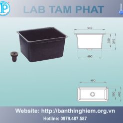 Bồn rửa thí nghiệm CR02